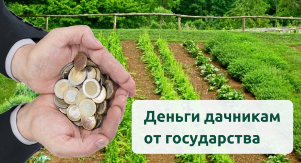 фото из открытого источника