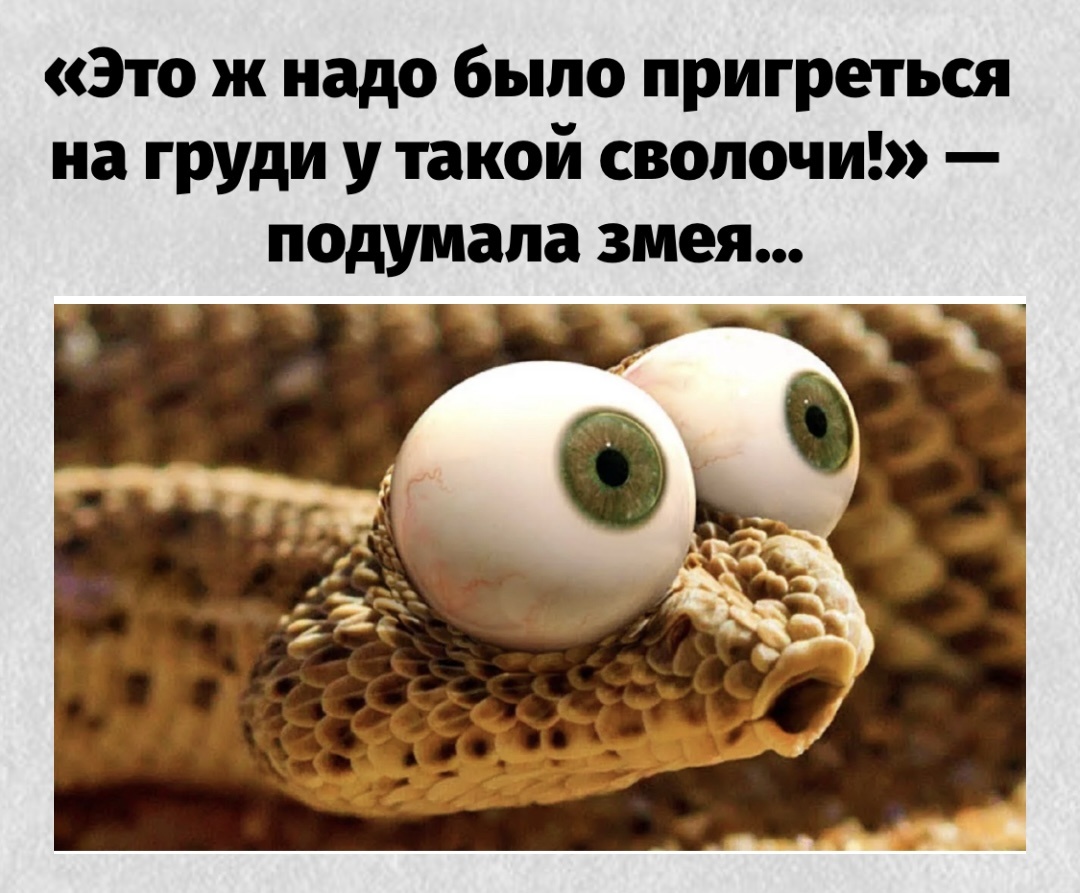 -3