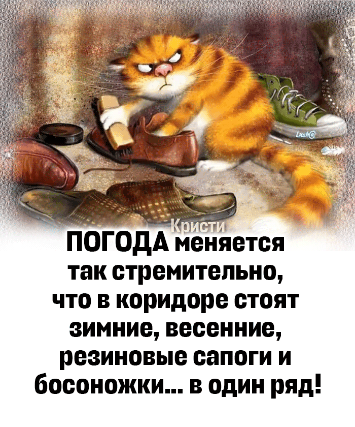 -8