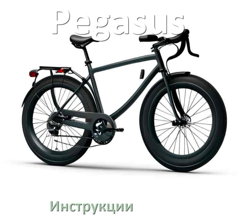 
Инструкция по эксплуатации велосипеда Pegasus руководство пользователя на русском