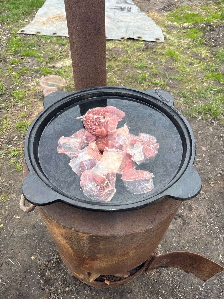 Будущая шурпа