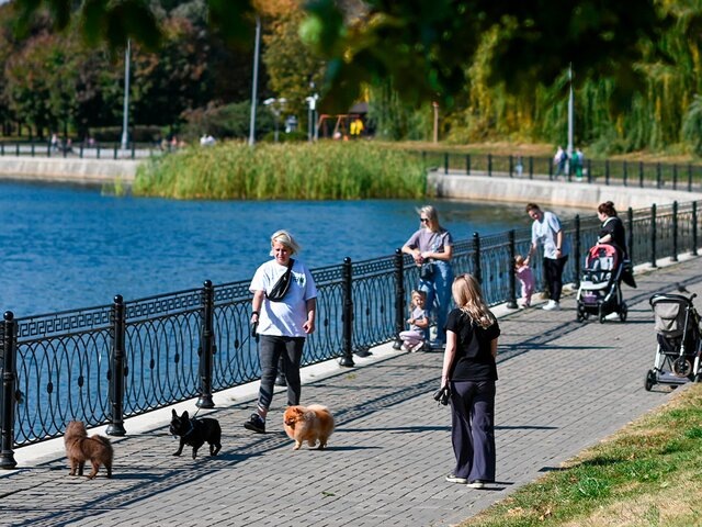    Фото: портал мэра и правительства Москвы/Дарья Мясина