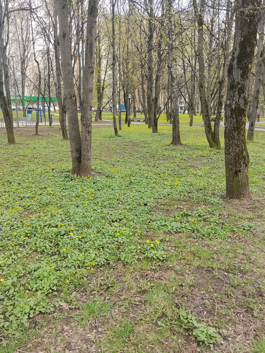 Фото автора. 