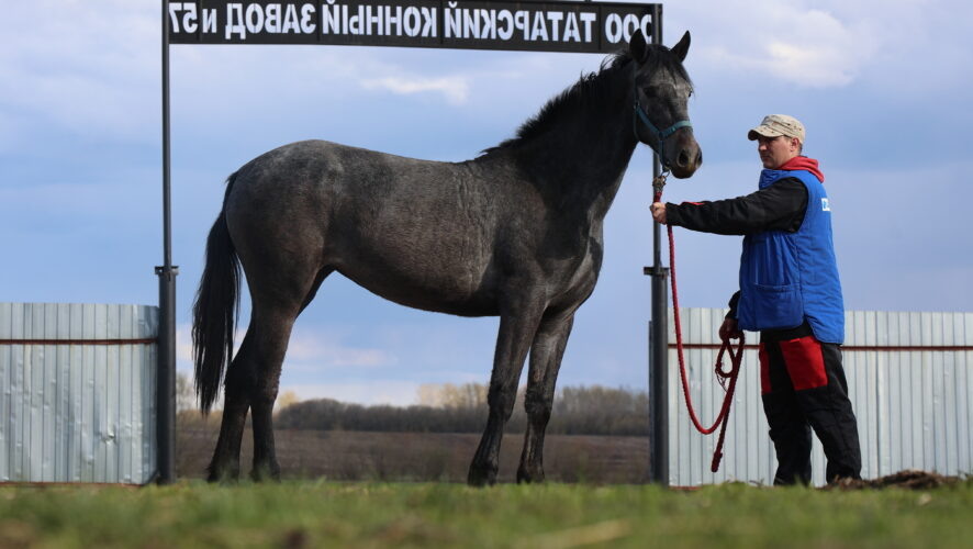   KazanFirst/Сергей Журавлев