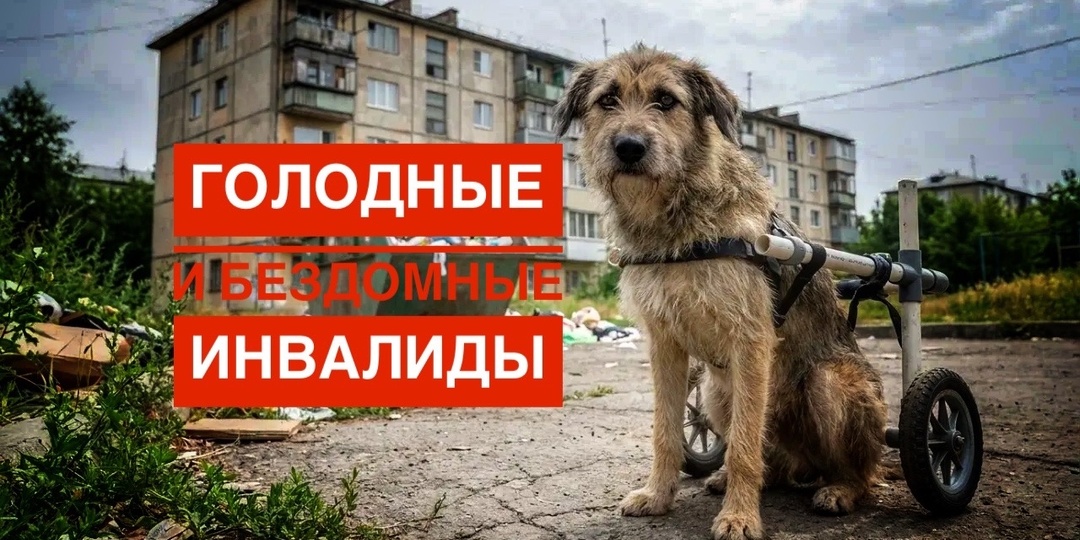 Хоспис остался на улице! Мы в шоке!