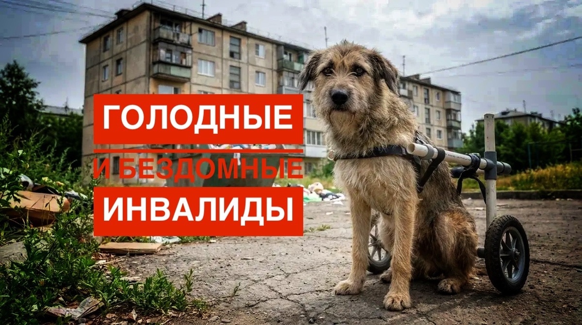 И били и предавали, и машиной сбытые валялись на дорогах, кровью захлебываясь... Все заново?!