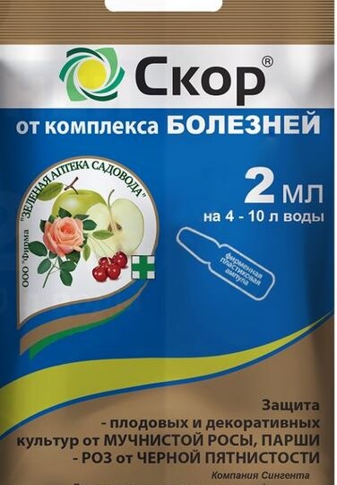 Скор — мифы и правда о главном фунгициде после цветения