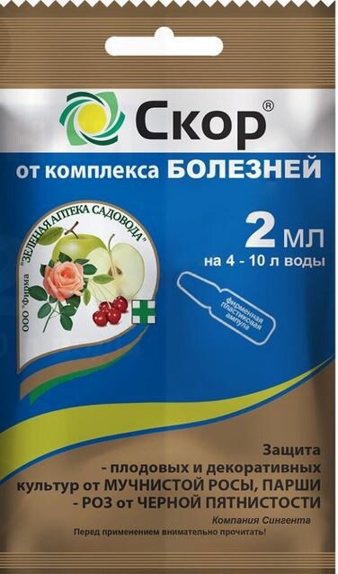 Препарат "Скор". Фото Натальи Мироновой