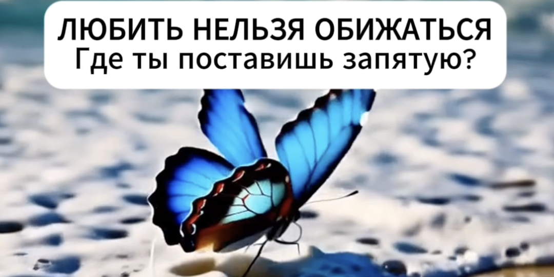 Любить нельзя обижаться: где поставишь запятую ты?
