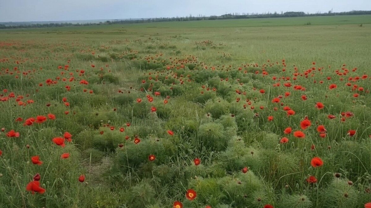    Пресс-служба Минприроды Ставропольского края
