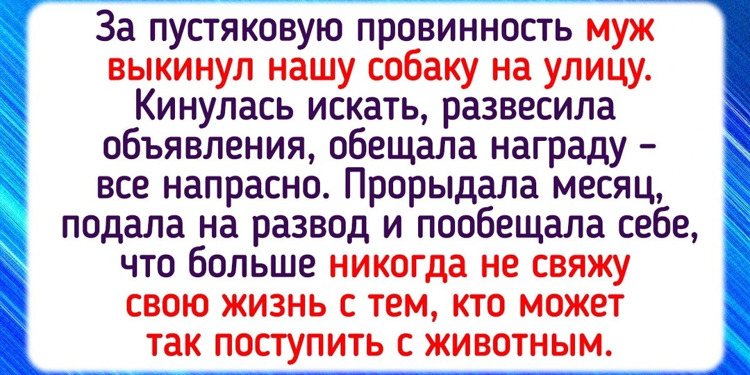 13 историй о том, как отношение к животным раскрывает людей с новой стороны