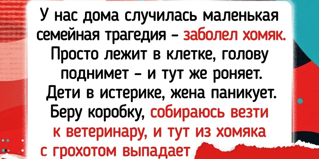 15 историй о домашних животных, которые задали людям жару