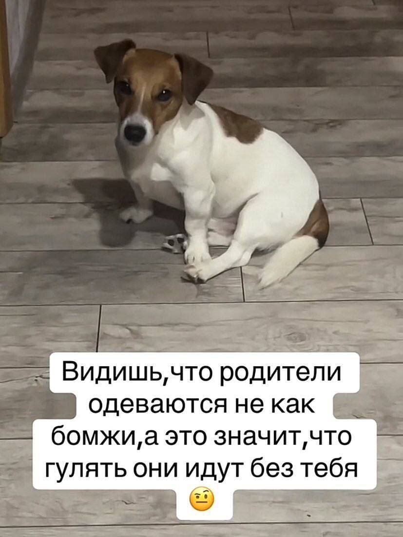 -Я не имею права Вас одних отпустить! Не наряжайтесь!