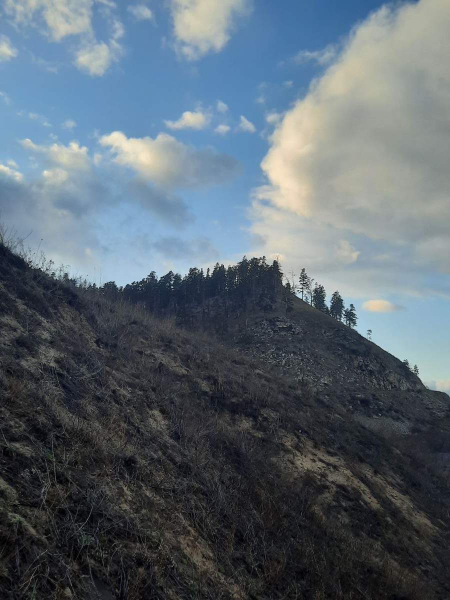 Фото автора.