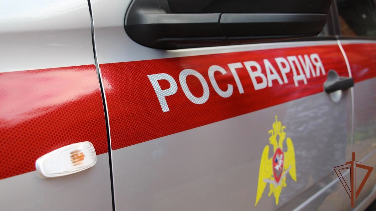    Фото: rosguard.gov.ru