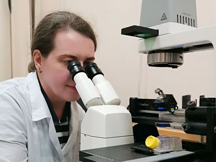 Новосибирские ученые создали технологию безболезненного обследования желудка