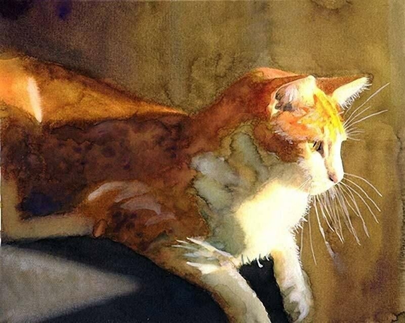 -2