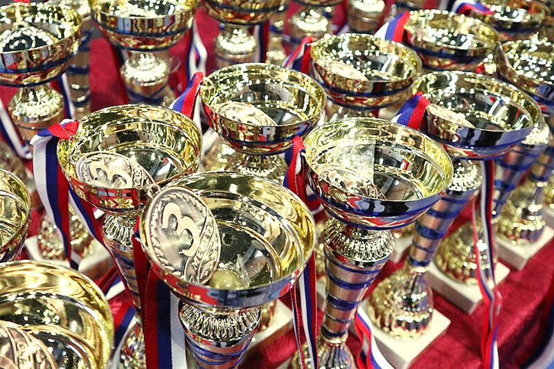 Подведены итоги областного конкурса на лучшую спортивную школу