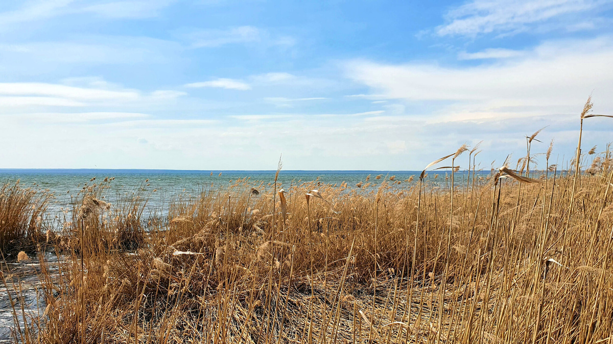 Плещеево озеро. фото от коллеги