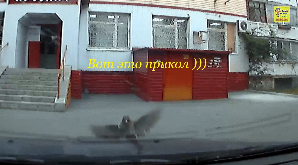 Смешной момент )))