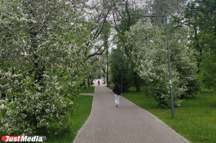 В Екатеринбурге появились аллея Волонтеров и сквер Генерала Устинова