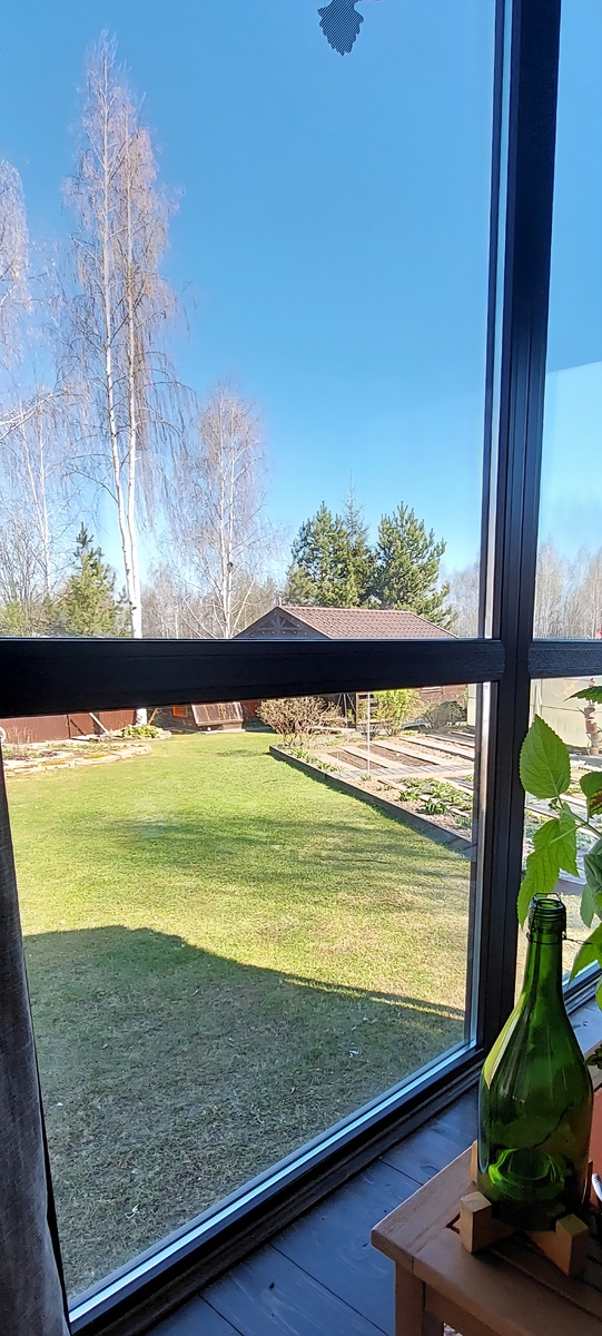 Вид с любимого диванчика