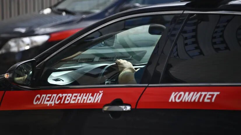    Источник: russian.rt.com Виктория Николаева