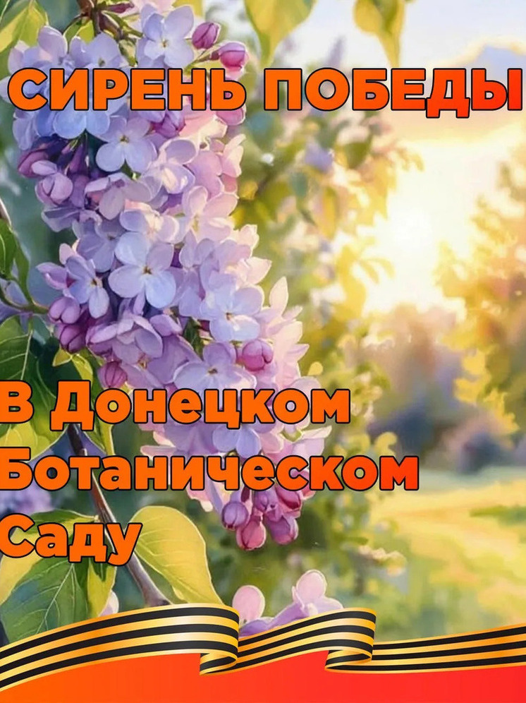     Фото: Донецкий ботанический сад