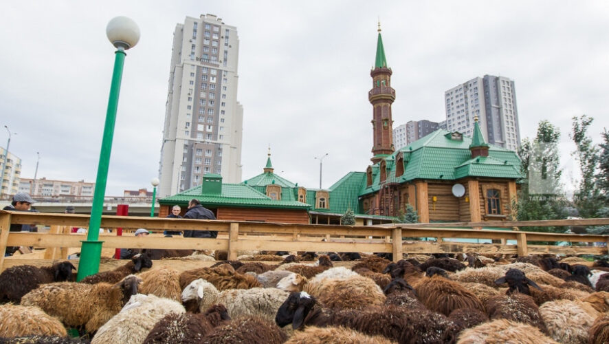    Фото: пресс-служба ДУМ РТ