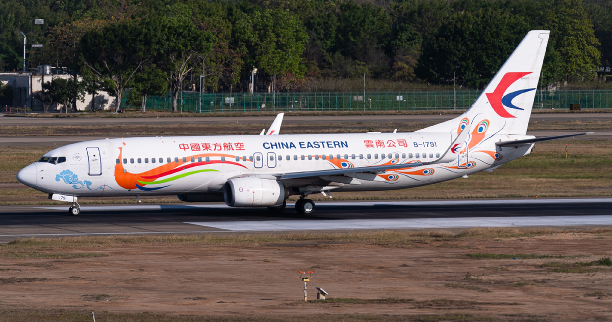 Boeing 737-800 China Eastern попавший в аварию
