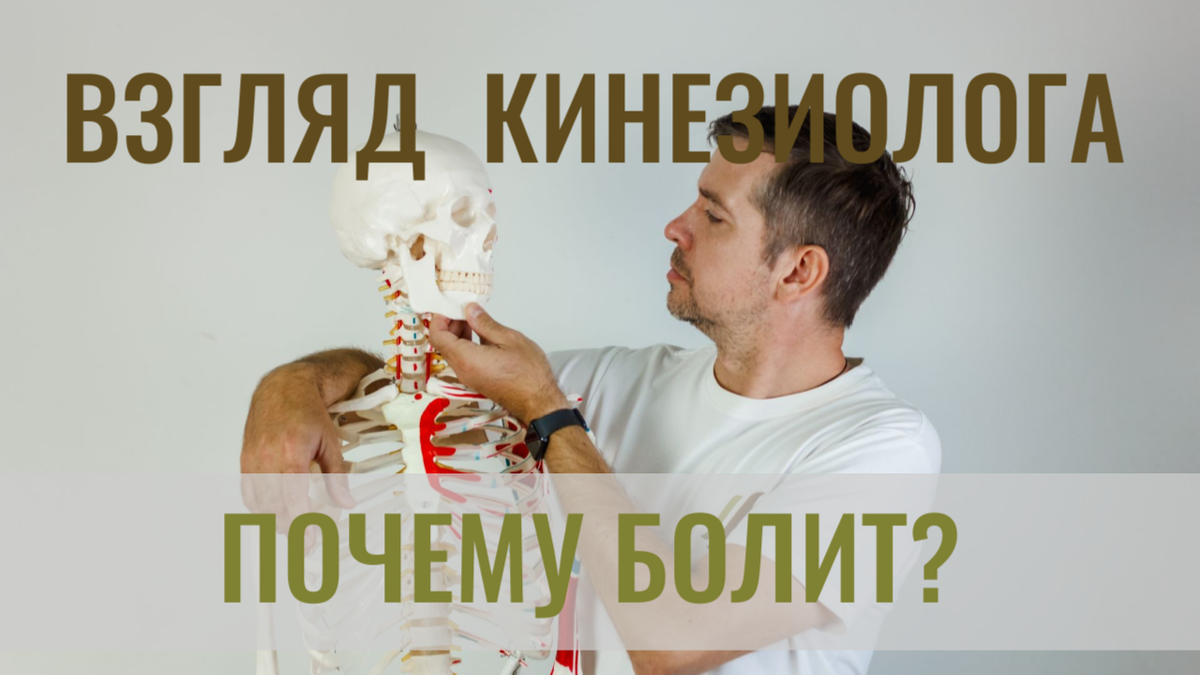 Кинезиологический взгляд на хронические боли опорно-двигательного аппарата
