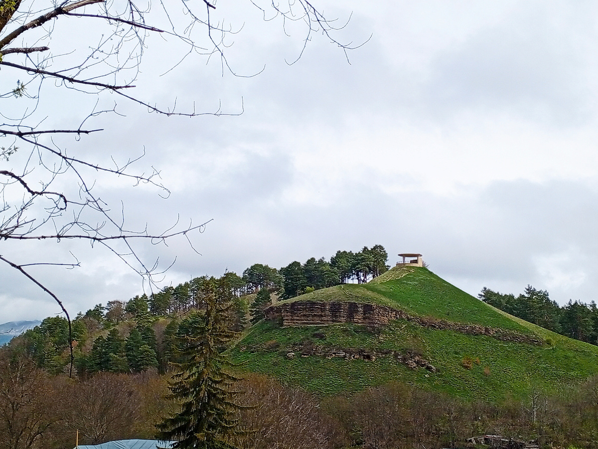 Фото автора.