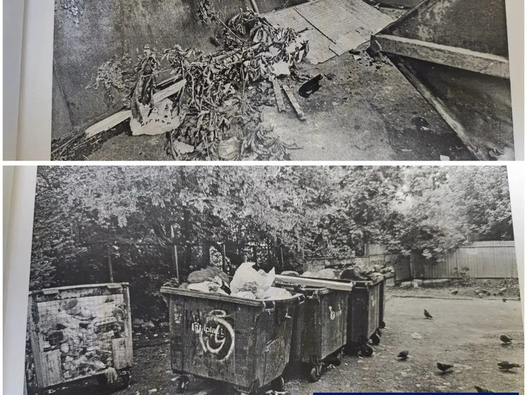     Фото: ОПССС Курской области