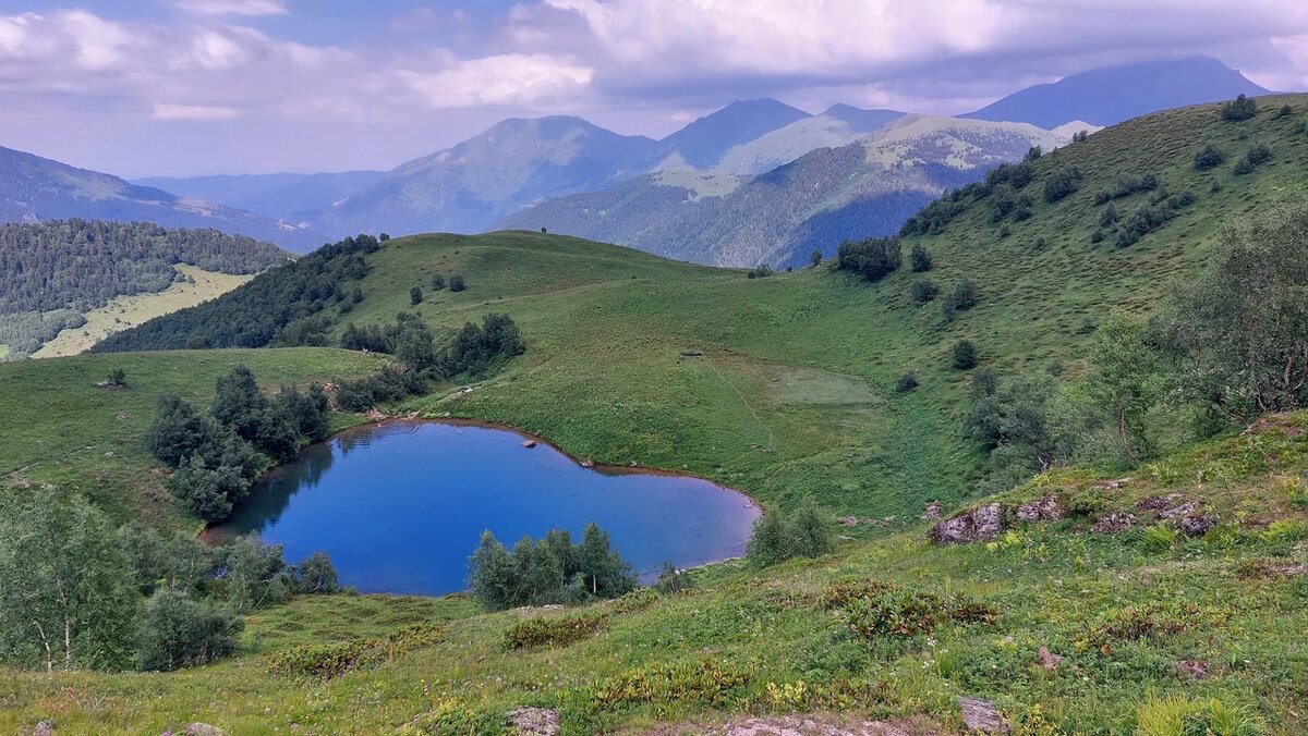 Фото: yandex.ru/maps