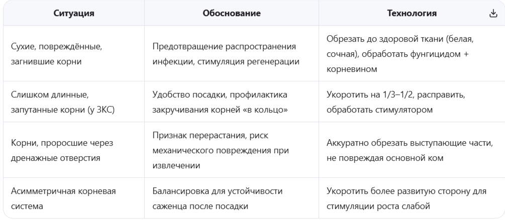 Показания к обрезке корней