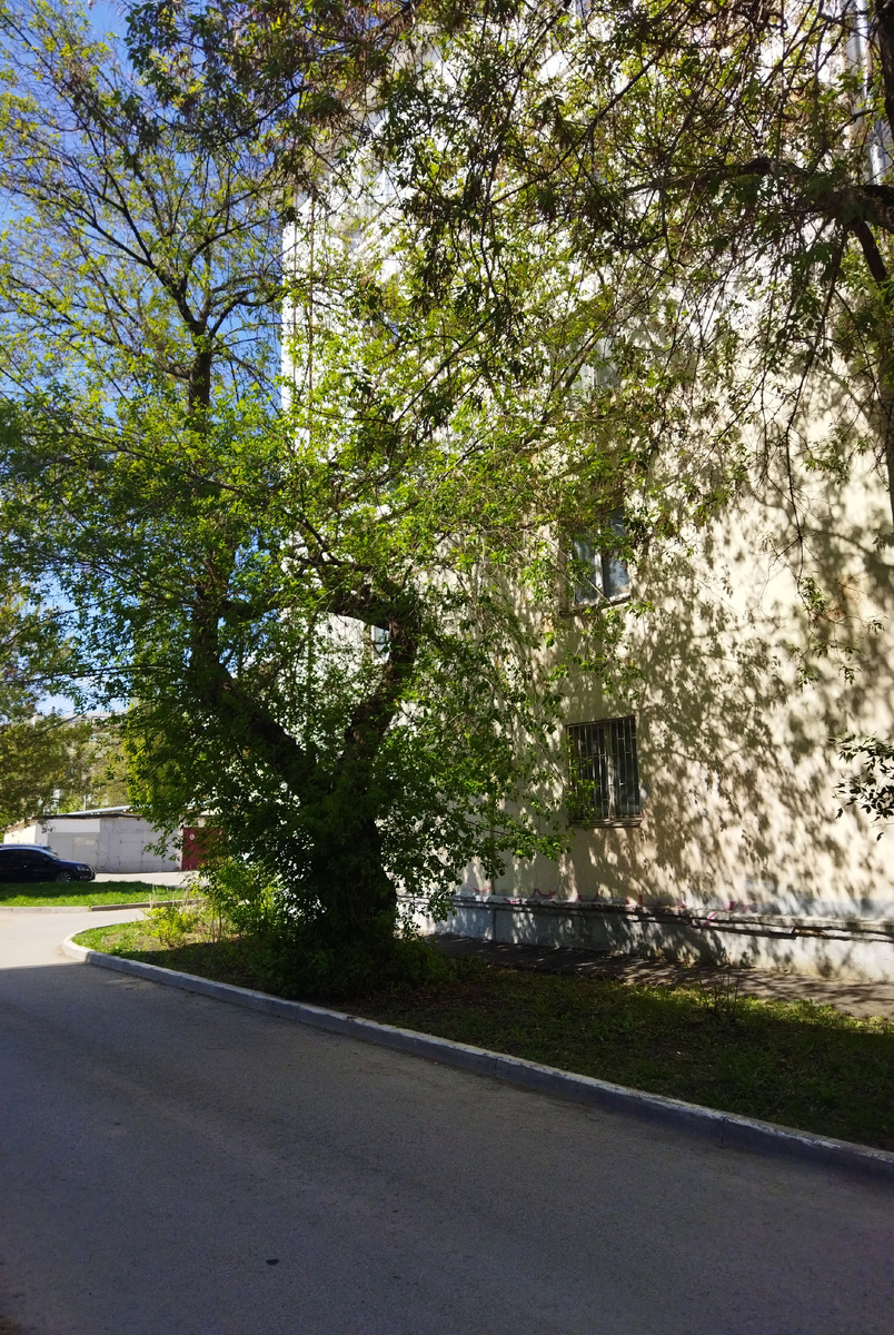 ФОТО АВТОРА
