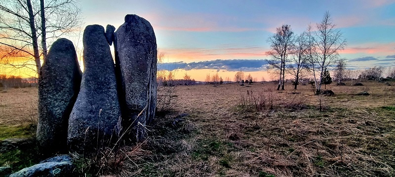 Краснинские слоны. Фото: Ольга Колосова / ВКонтакте