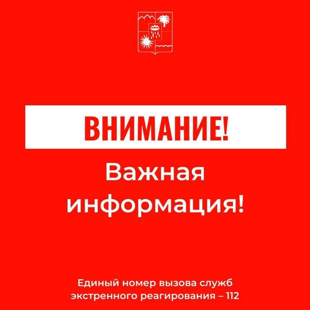    Фото: администрация Сочи