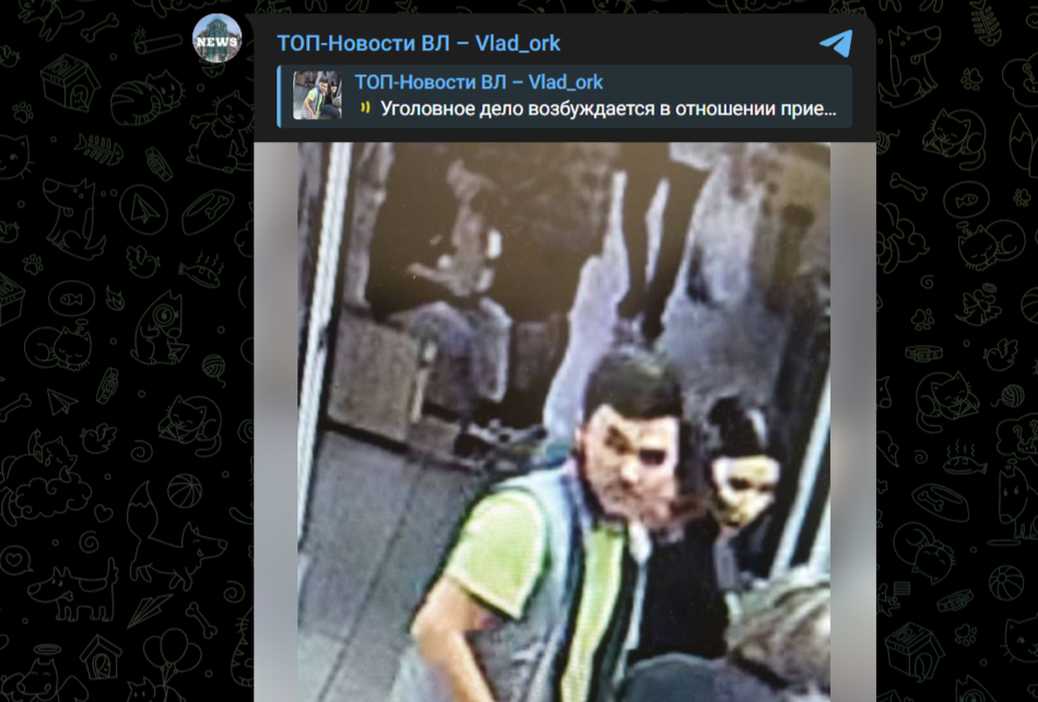Фото: Telegram-канал "ТОП-Новости ВЛ – Vlad_ork"