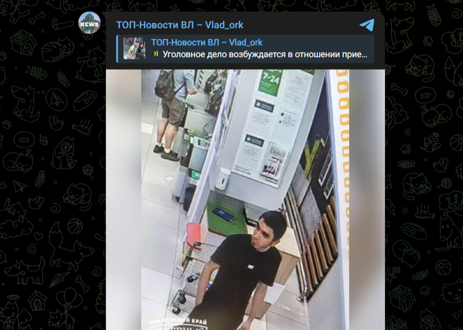 Фото: Telegram-канал "ТОП-Новости ВЛ – Vlad_ork"