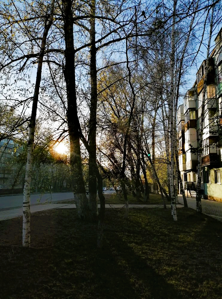 фото автора 