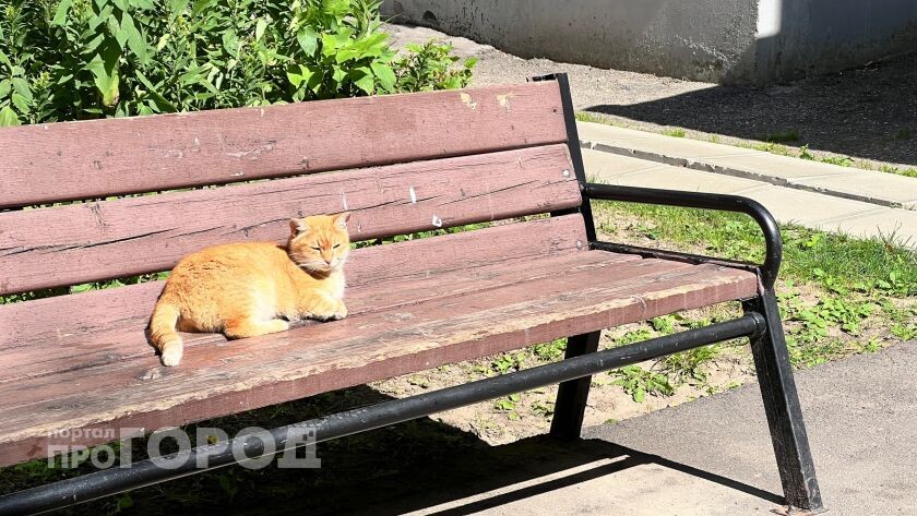   Про Город