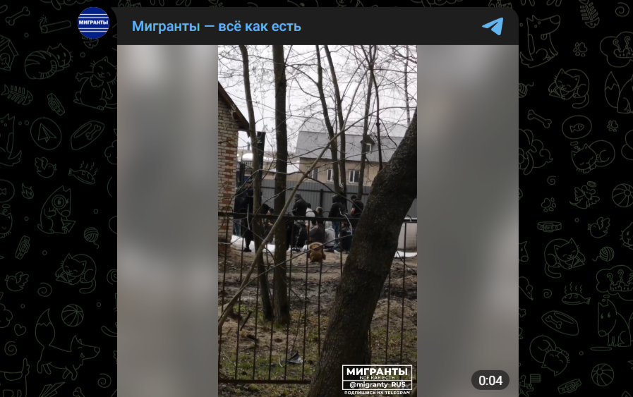 Фото: Telegram-канал "Мигранты — всё как есть"