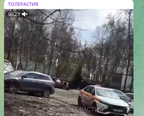 Фото: Telegram-канал "ТОЛЕРАСТИЯ"