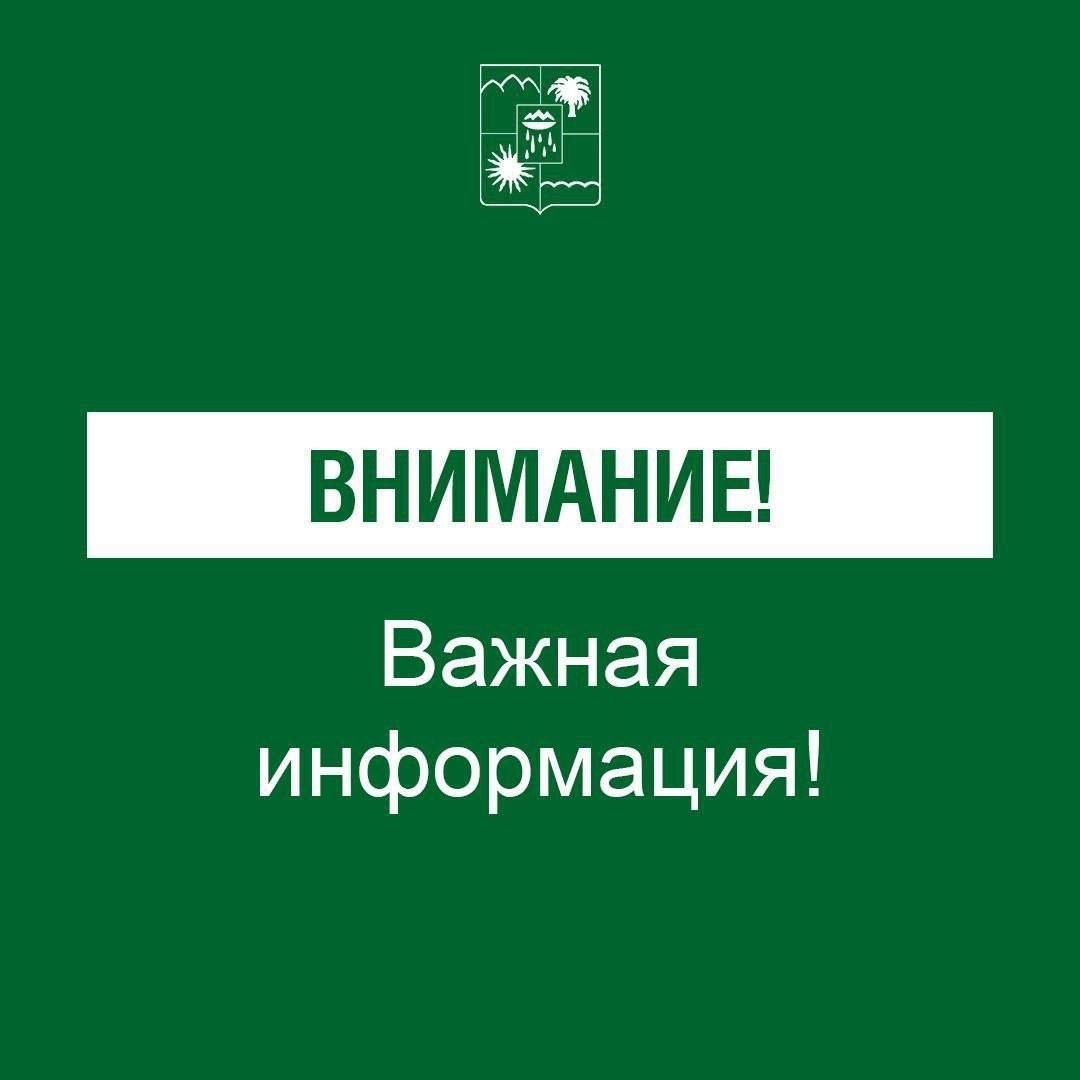    фото: Telegram/Мэр Сочи Андрей Прошунин