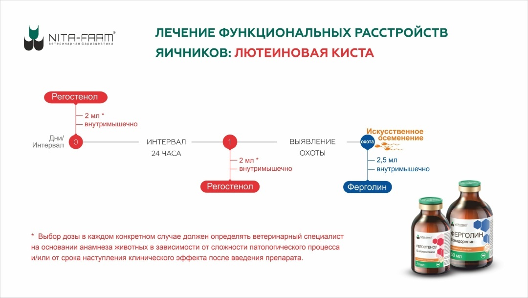 Схема лечения лютеиновой кисты