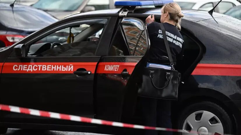    Источник: russian.rt.com Виктор Павлов