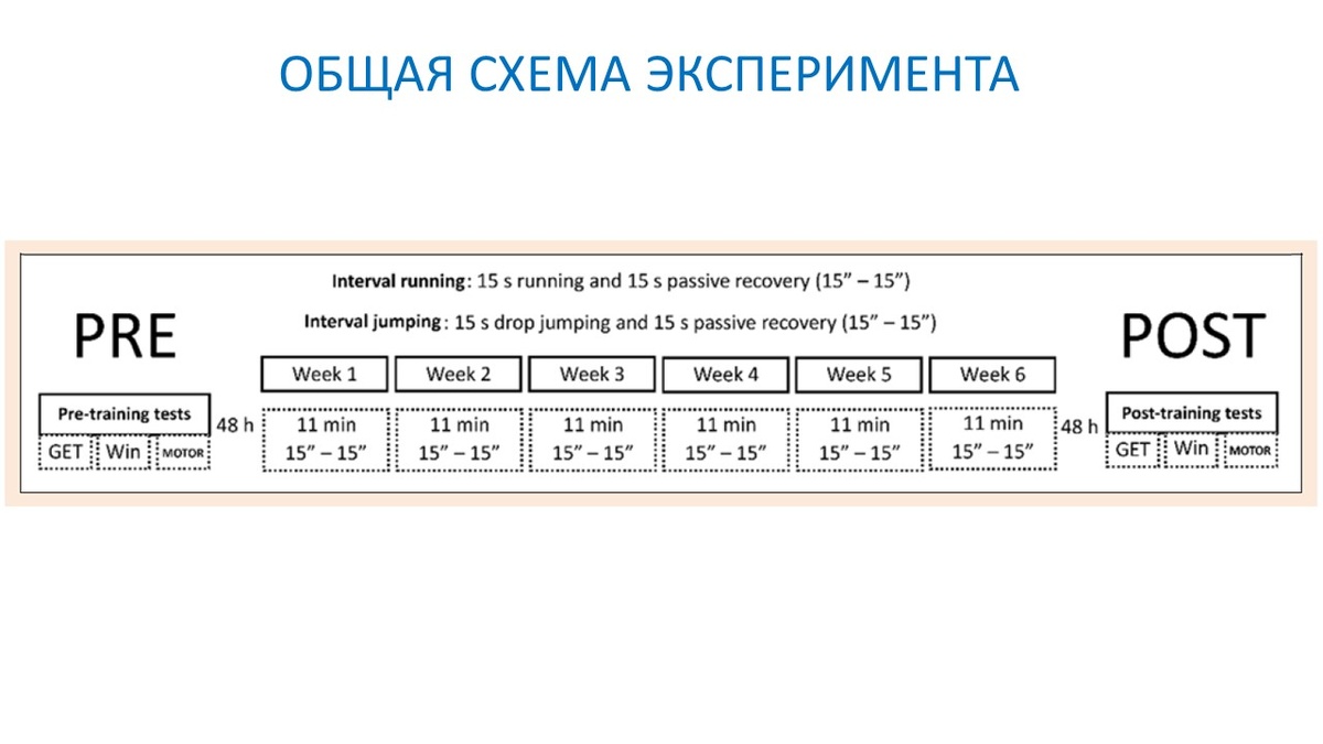 Рисунок 1. Общая схема эксперимента.