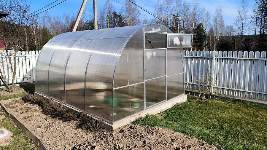    Фото: Global Look Press/Maksim Konstantinov