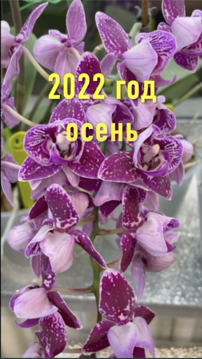 -2-3